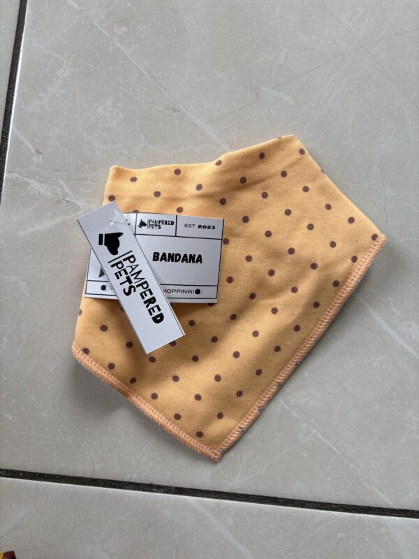 Snap Back Bandana - Image 3