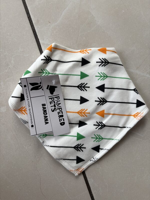Snap Back Bandana - Image 4