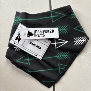 Snap Back Bandana
