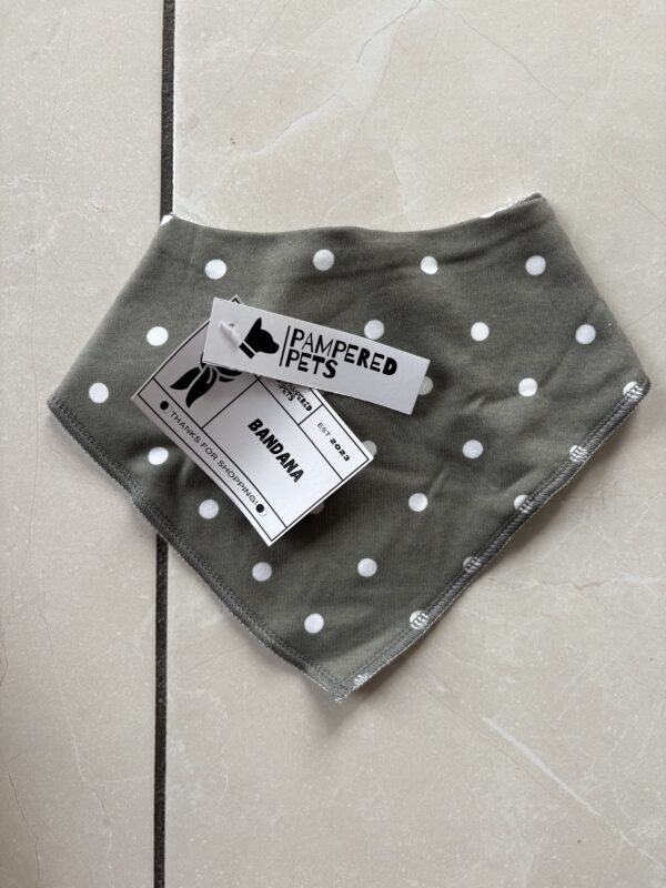 Snap Back Bandana - Image 5