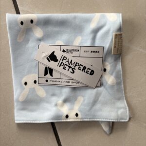 Snap-On Bandana