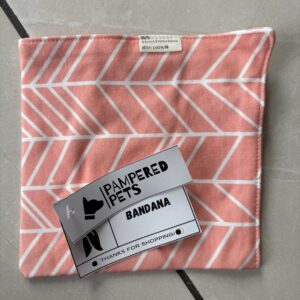 Snap-On Bandana