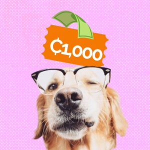 4Paws Support – ₵1,000