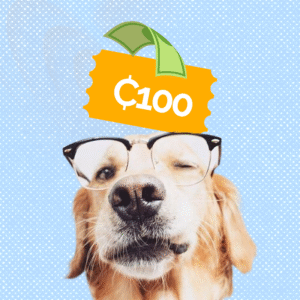 4Paws Support – ₵100