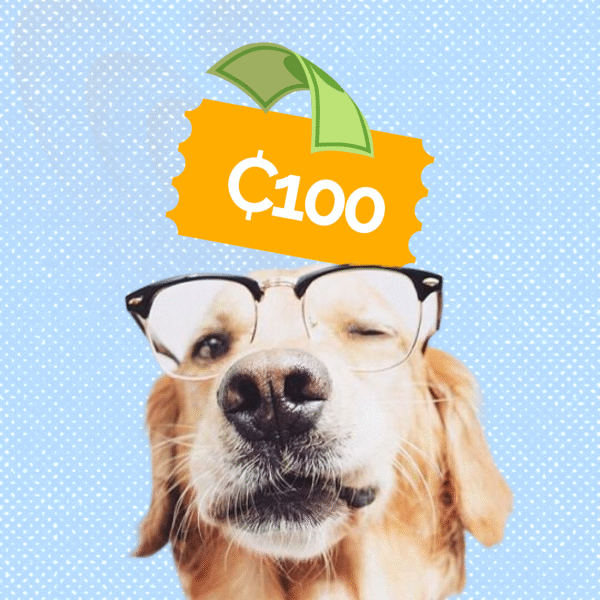 4Paws Support - ₵100