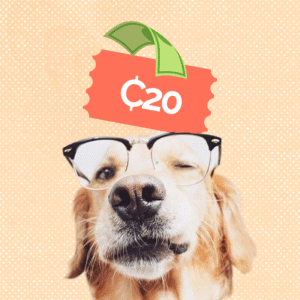 4Paws Support – ₵20
