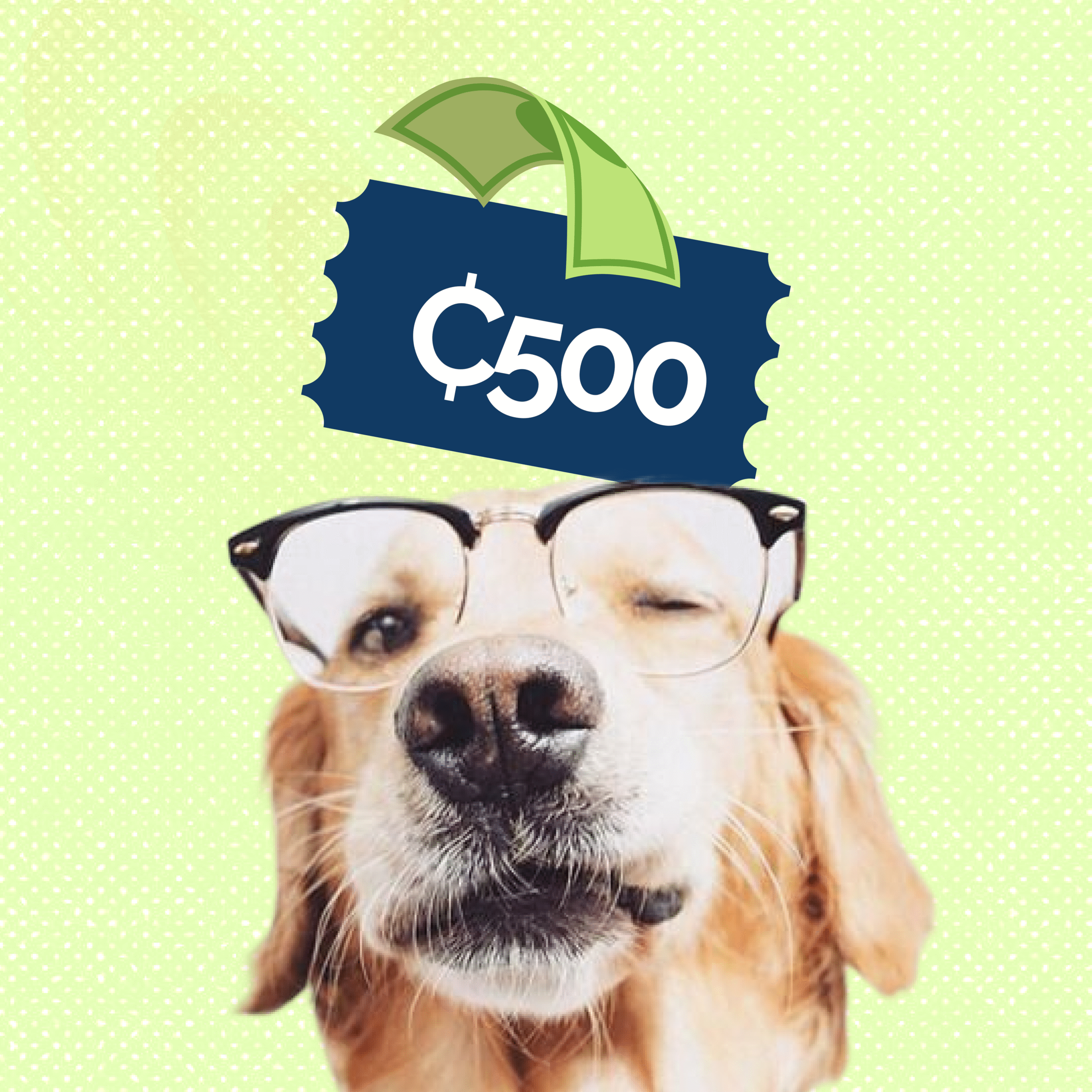 4Paws Support – ₵500